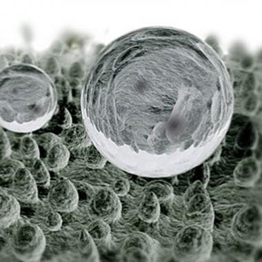 Waterproof repellent Invulner Nano with a lotus effect